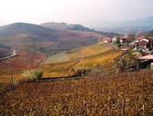 Autunno a Barbaresco Autunno a Barbaresco